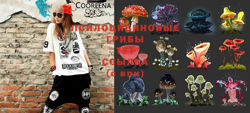 МЕГА   где купить наркоту  Семикаракорск  Псилоцибиновые грибы MAGIC MUSHROOMS 